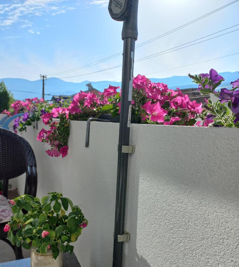 Apartments Lido Ohri Dış mekan fotoğraf
